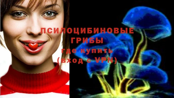 герыч Аркадак
