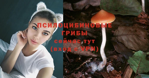 МДПВ Арсеньев